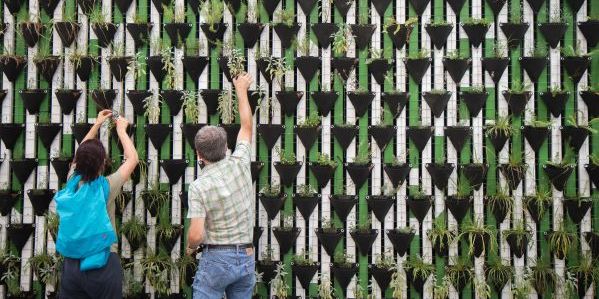 L’impact écologique et social, un défi de transformation dans l’air du temps