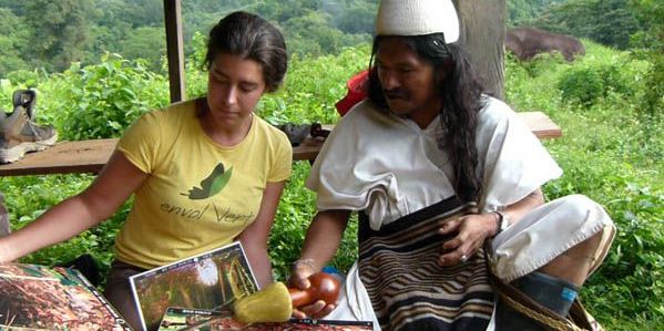 Daisy Tarrier veut redonner à la forêt ce qu’elle nous donne