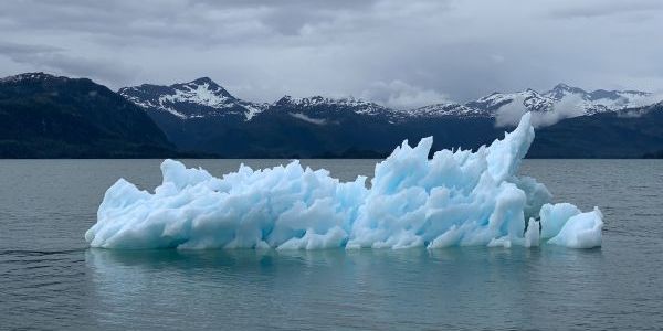 Face à l’urgence climatique, Etats et entreprises sont volontaires, mais timides